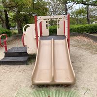 つつじ公園 - 投稿画像2
