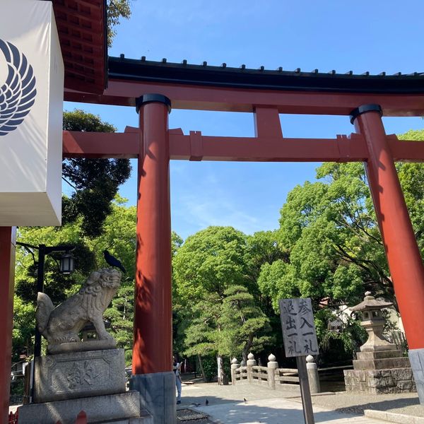 平塚八幡宮 - トップ画像