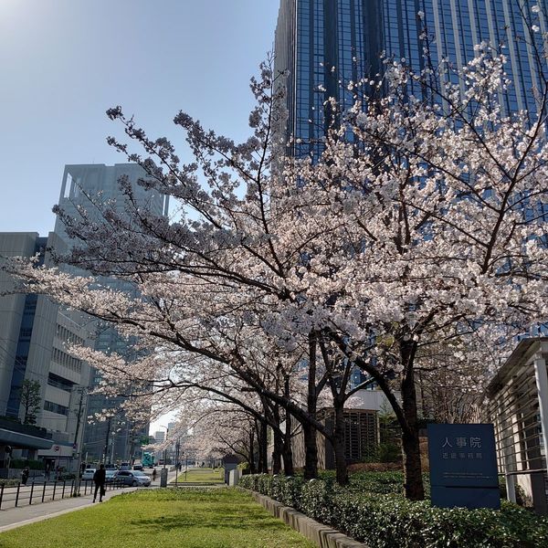 大阪高等検察庁 - おすすめ画像