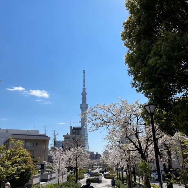 山谷堀公園 - おすすめ画像