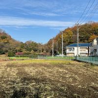 谷戸の田園風景 - 投稿画像0