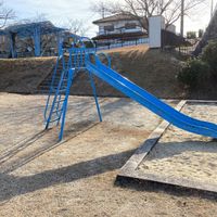 西千代ヶ丘一丁目第1号街区公園 - 投稿画像3