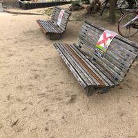 本郷中央公園 - 投稿画像2