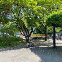 東札幌公園 - 投稿画像3