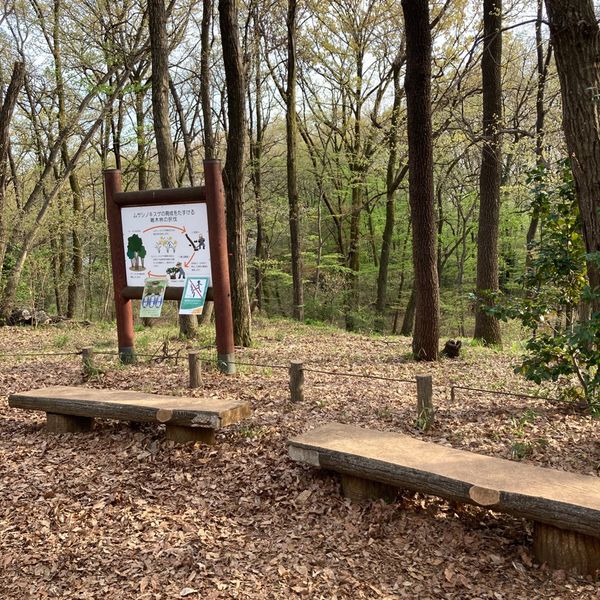浅間山公園 - トップ画像