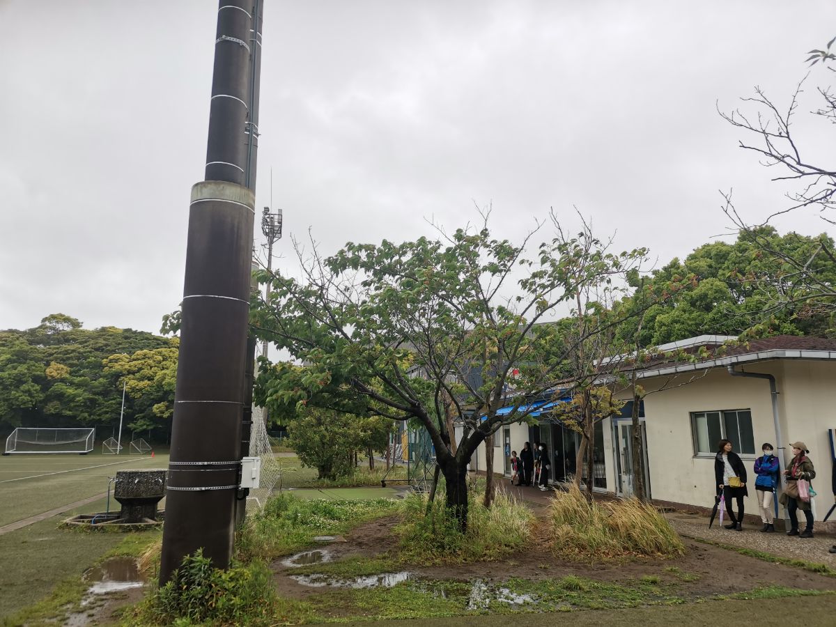 公の場での発言・インタビュー報道記録