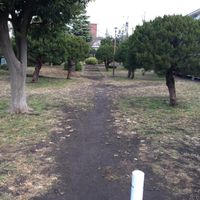 新町2-25遊び場 - 投稿画像1