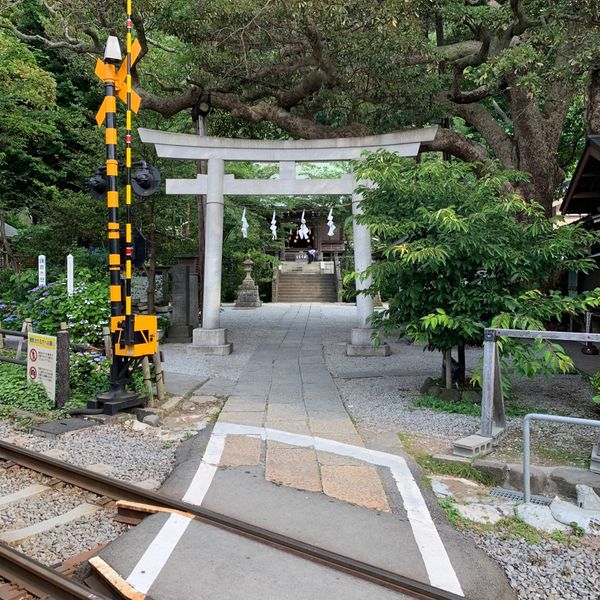 御霊神社（権五郎神社） - トップ画像