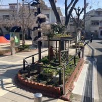 西町公園 - 投稿画像0