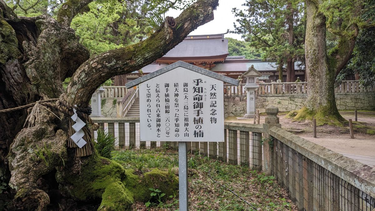 大山祇神社(おおやまづみ)(神社) | MEQQE(めっけ) 大山祇神社(おおやまづみ)(神社) | MEQQE(めっけ)