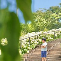 シンボルプロムナード公園 - 投稿画像0