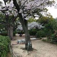 二見公園 - 投稿画像3