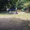 和爾下街区公園 - トップ画像