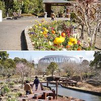 のんほいパーク（豊橋総合動植物公園）植物園 - 投稿画像2