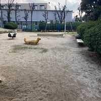本町北公園 - 投稿画像1