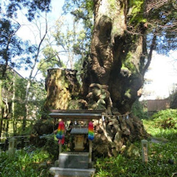 来宮神社 - おすすめ画像