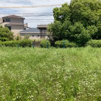 横井第7号街区公園 - 投稿画像2