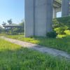 白鳥大橋展望広場公園 - トップ画像