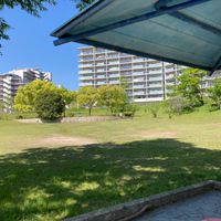 高野公園 - 投稿画像1