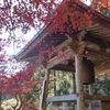 大山不動尊 大山寺 - トップ画像