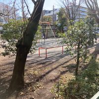 パークシティ溝の口公園 - 投稿画像0