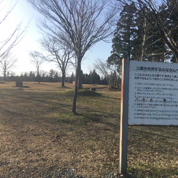 長岡ニュータウン公園 - トップ画像