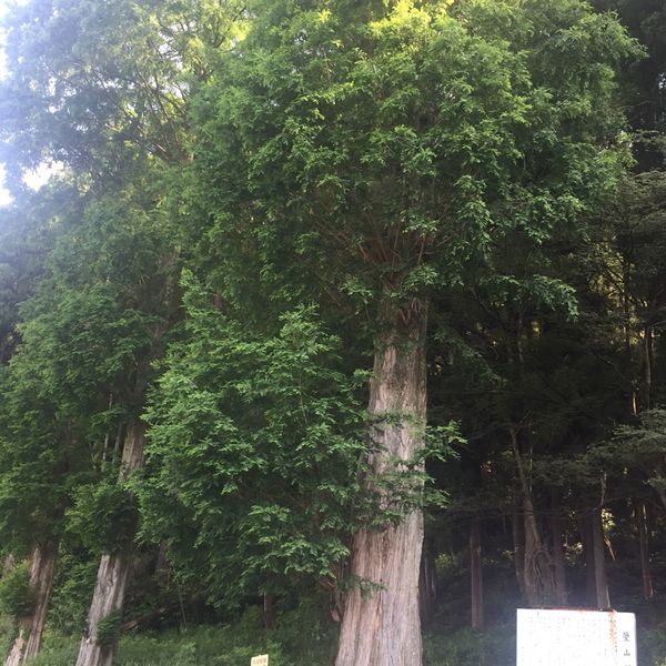 芦山公園 - トップ画像