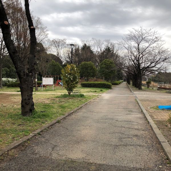 八条親水公園 - トップ画像