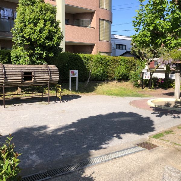 飯山満つばき公園 - おすすめ画像