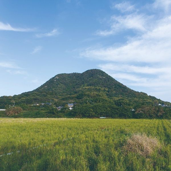 八幡山 - おすすめ画像
