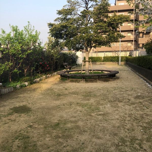諏訪開 - おすすめ画像