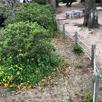 二見公園 - 投稿画像2