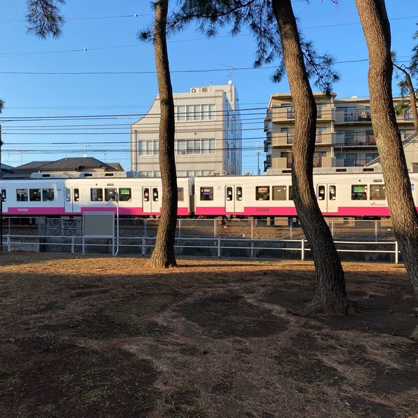 ふよう公園 - おすすめ画像