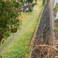七条西町一丁目第2号街区公園 - 投稿画像3