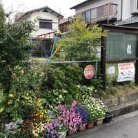 北山田第1幼児公園 - 投稿画像0