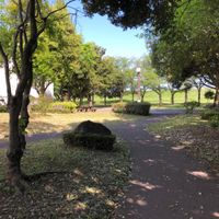 におどり公園 - 投稿画像1