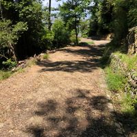 大吉山風致公園 - 投稿画像3