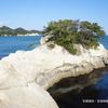 Matsushima (Matsushima-jima-meguri kankō-sen) - トップ画像