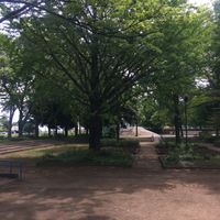 桐ヶ丘中央公園 - 投稿画像3