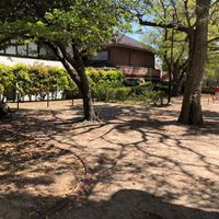 山畑公園 - 投稿画像2