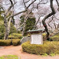 館山公園 - 投稿画像0