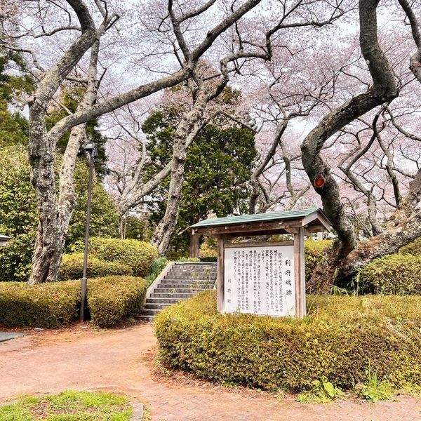 館山公園 - トップ画像