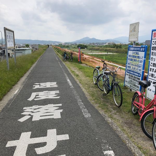 大和川河川敷公園 - トップ画像