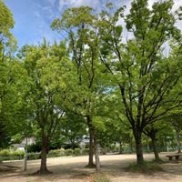 麻田公園 - 投稿画像0