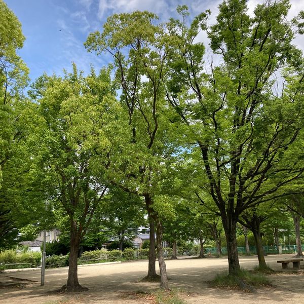 麻田公園 - おすすめ画像