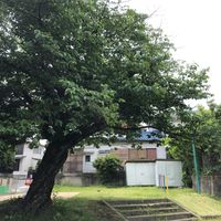 南陵第4児童公園 - 投稿画像1