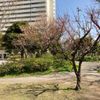 南六郷公園 - トップ画像