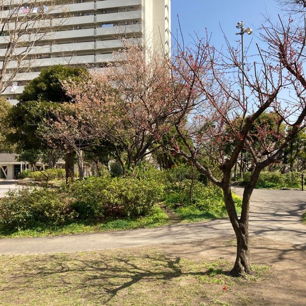 南六郷公園 - トップ画像