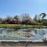 日比谷花壇大船フラワーセンター（大船植物園） - 投稿画像1