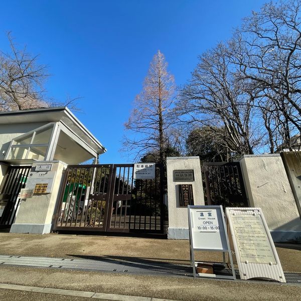 小石川植物園 - おすすめ画像